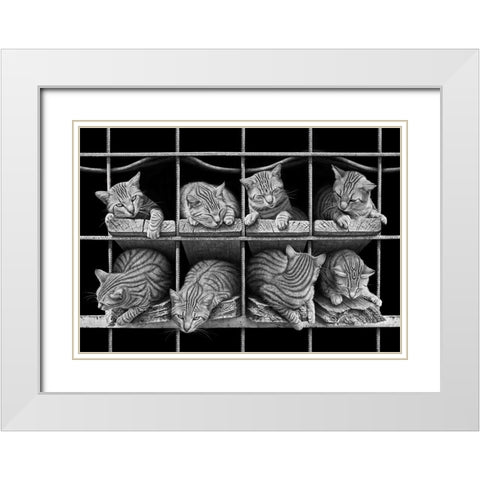 Octet White Modern Wood Framed Art Print with Double Matting by Heine, Ben