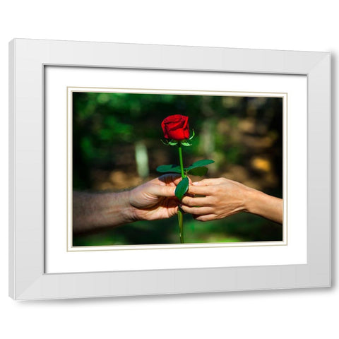 Red Union White Modern Wood Framed Art Print with Double Matting by Heine, Ben