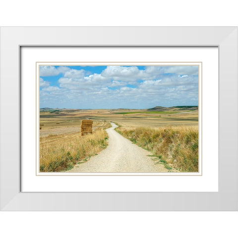 Santiago de Compostela pilgrimage - 165 White Modern Wood Framed Art Print with Double Matting by Heine, Ben