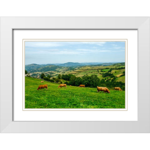 Santiago de Compostela pilgrimage - 237 White Modern Wood Framed Art Print with Double Matting by Heine, Ben