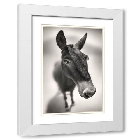 Talking to Me White Modern Wood Framed Art Print with Double Matting by Heine, Ben