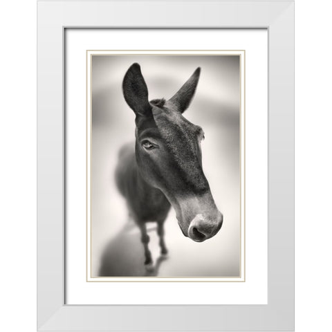 Talking to Me White Modern Wood Framed Art Print with Double Matting by Heine, Ben