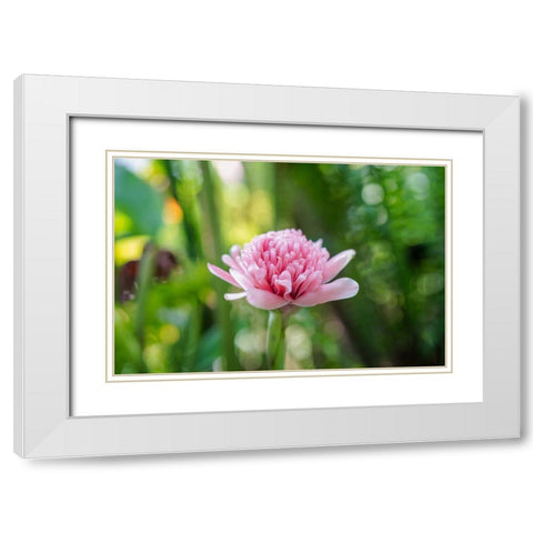 Thailand - 156 White Modern Wood Framed Art Print with Double Matting by Heine, Ben