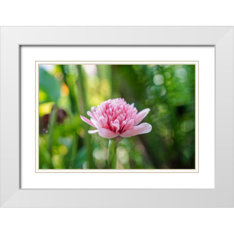 Thailand - 156 White Modern Wood Framed Art Print with Double Matting by Heine, Ben