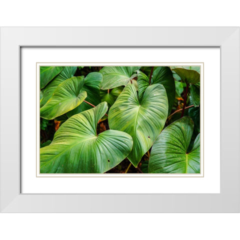 Thailand - 158 White Modern Wood Framed Art Print with Double Matting by Heine, Ben