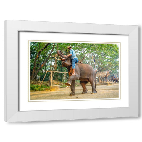 Thailand - 260 White Modern Wood Framed Art Print with Double Matting by Heine, Ben