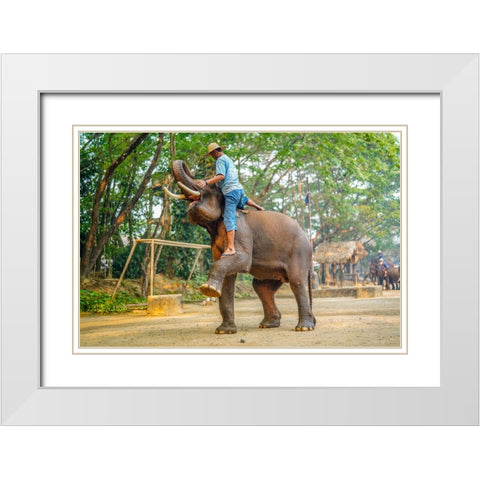 Thailand - 260 White Modern Wood Framed Art Print with Double Matting by Heine, Ben