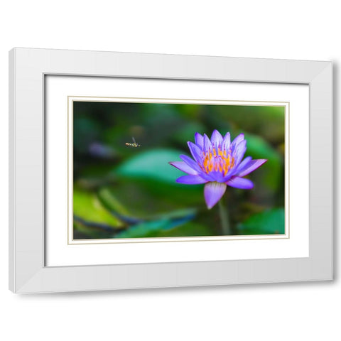 Thailand 2 - 214 White Modern Wood Framed Art Print with Double Matting by Heine, Ben