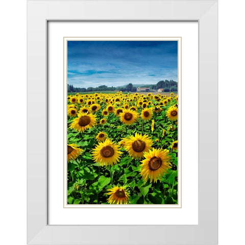Turn your Face to the Sun White Modern Wood Framed Art Print with Double Matting by Heine, Ben