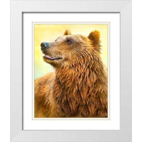 Cute Bear White Modern Wood Framed Art Print with Double Matting by Heine, Ben