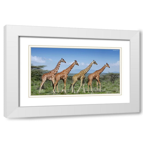 Happy Together White Modern Wood Framed Art Print with Double Matting by Heine, Ben