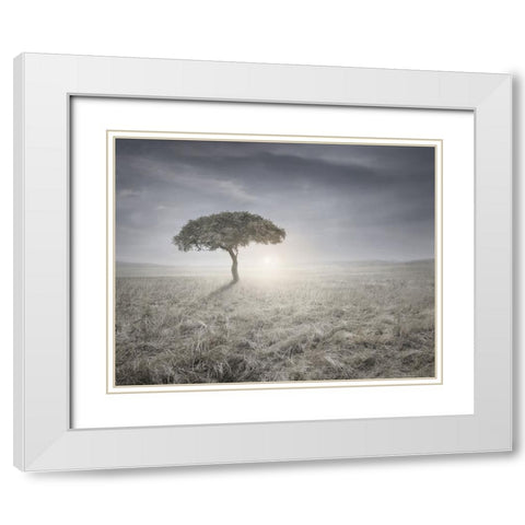 I hear the birds sing White Modern Wood Framed Art Print with Double Matting by Heine, Ben