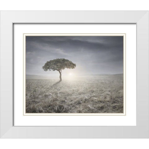 I hear the birds sing White Modern Wood Framed Art Print with Double Matting by Heine, Ben
