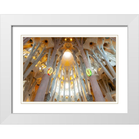 IMG_2418-2 White Modern Wood Framed Art Print with Double Matting by Heine, Ben