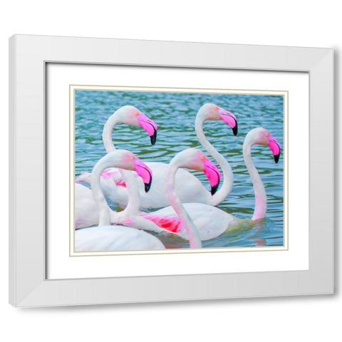 IMG_8905 White Modern Wood Framed Art Print with Double Matting by Heine, Ben