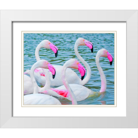 IMG_8905 White Modern Wood Framed Art Print with Double Matting by Heine, Ben