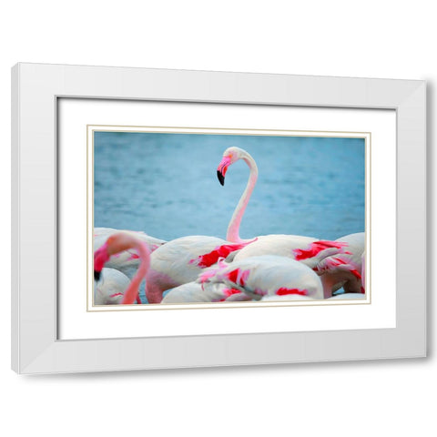 IMG_8978 copy White Modern Wood Framed Art Print with Double Matting by Heine, Ben