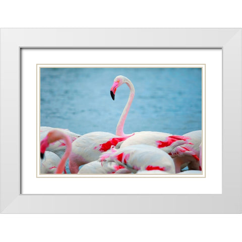 IMG_8978 copy White Modern Wood Framed Art Print with Double Matting by Heine, Ben