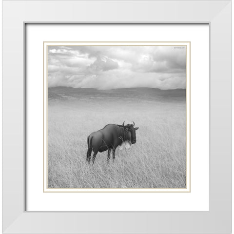 Once Upon a Time in Kenya - 4 White Modern Wood Framed Art Print with Double Matting by Heine, Ben