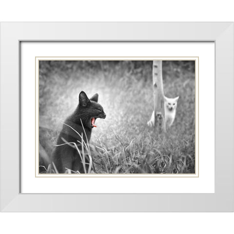 The Beauty and The Beast White Modern Wood Framed Art Print with Double Matting by Heine, Ben