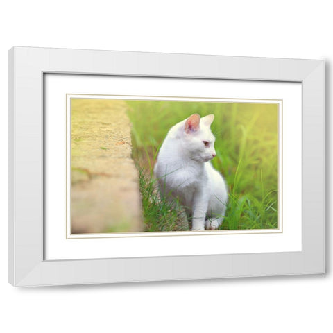Tunisia 61 White Modern Wood Framed Art Print with Double Matting by Heine, Ben