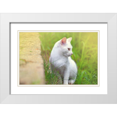 Tunisia 61 White Modern Wood Framed Art Print with Double Matting by Heine, Ben