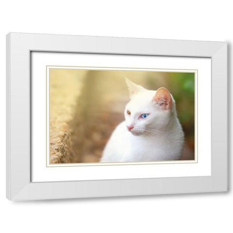 Tunisia 69 White Modern Wood Framed Art Print with Double Matting by Heine, Ben