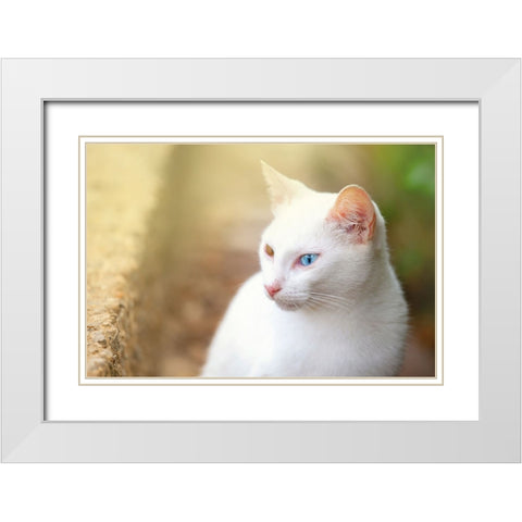 Tunisia 69 White Modern Wood Framed Art Print with Double Matting by Heine, Ben