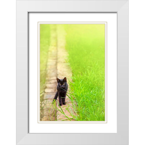 Tunisia 76 White Modern Wood Framed Art Print with Double Matting by Heine, Ben