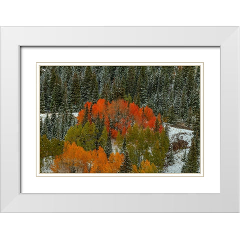 A Circle Of Color White Modern Wood Framed Art Print with Double Matting by Sherrell, Bill