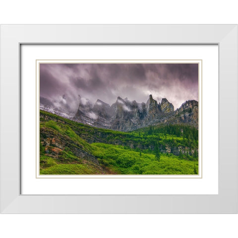 A Majestic Presence White Modern Wood Framed Art Print with Double Matting by Sherrell, Bill