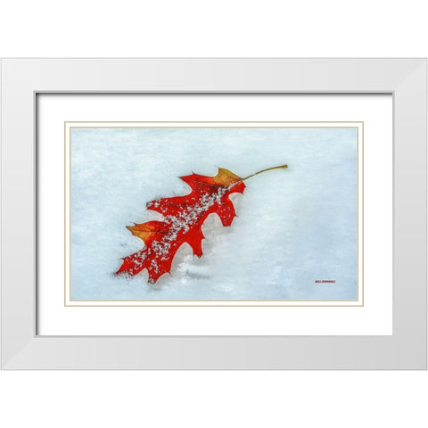 A Moment Together White Modern Wood Framed Art Print with Double Matting by Sherrell, Bill