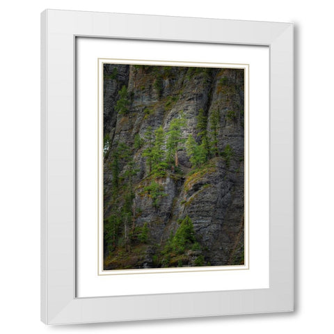 A Place To Grow White Modern Wood Framed Art Print with Double Matting by Sherrell, Bill