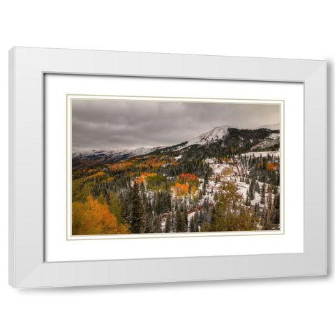 A Splash Of Color White Modern Wood Framed Art Print with Double Matting by Sherrell, Bill