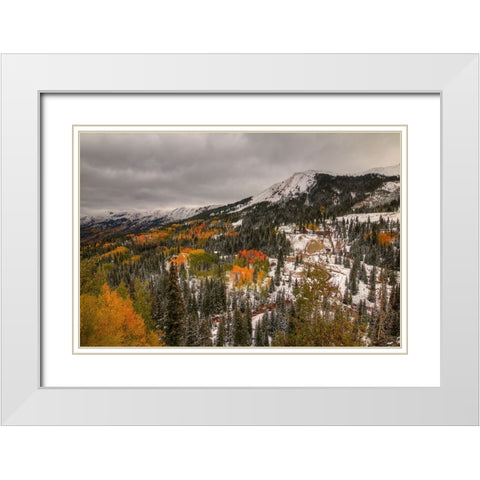 A Splash Of Color White Modern Wood Framed Art Print with Double Matting by Sherrell, Bill