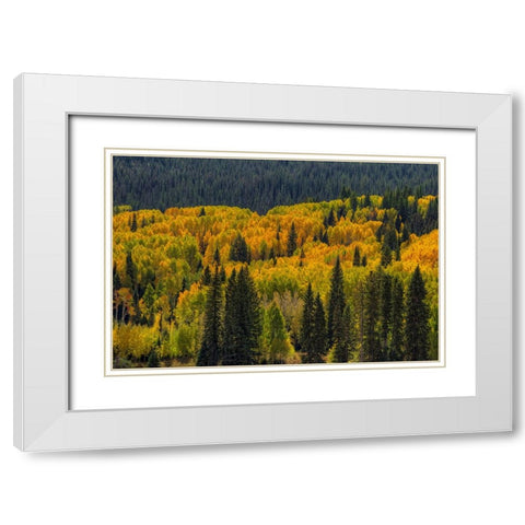 Autumn Flames White Modern Wood Framed Art Print with Double Matting by Sherrell, Bill