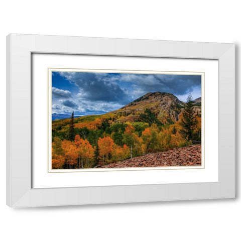 Autumn Foothill White Modern Wood Framed Art Print with Double Matting by Sherrell, Bill