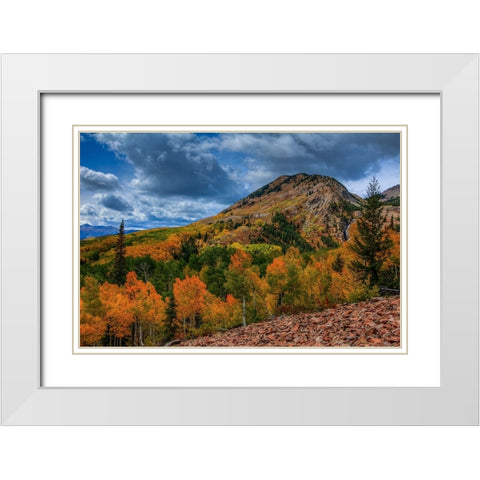 Autumn Foothill White Modern Wood Framed Art Print with Double Matting by Sherrell, Bill