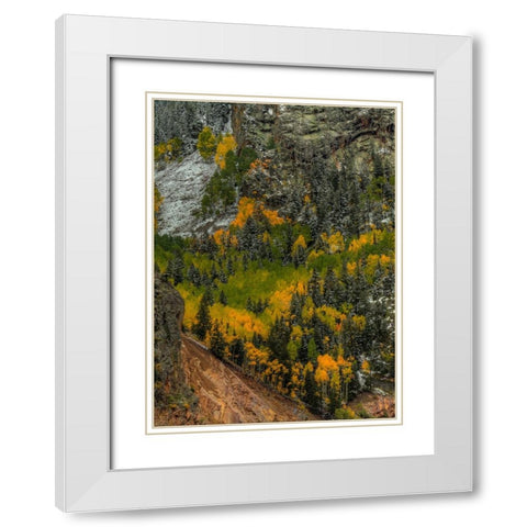Autumn Grace White Modern Wood Framed Art Print with Double Matting by Sherrell, Bill