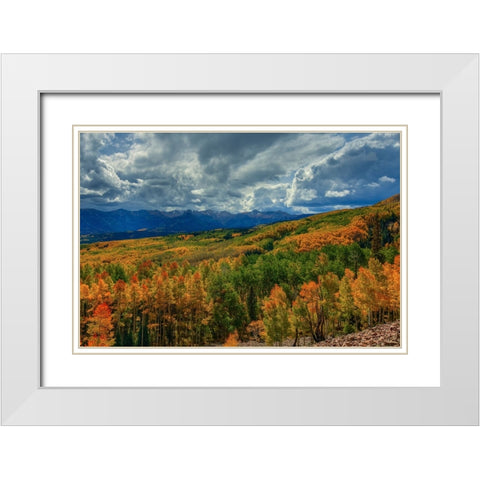 Autumn Illumination White Modern Wood Framed Art Print with Double Matting by Sherrell, Bill
