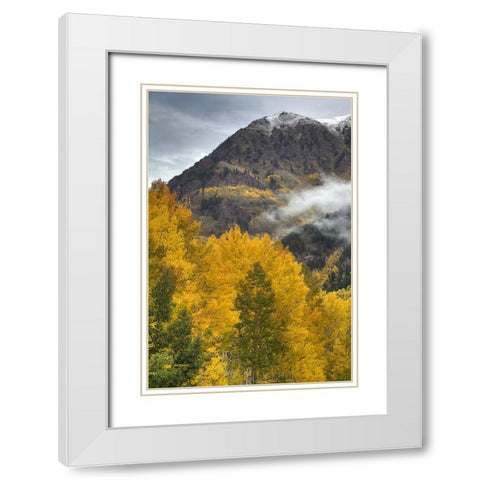 Autumn Moods White Modern Wood Framed Art Print with Double Matting by Sherrell, Bill