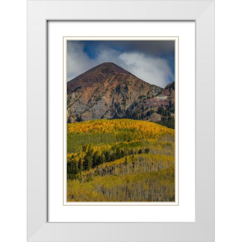 Autumn Mountain Near Crested Butte White Modern Wood Framed Art Print with Double Matting by Sherrell, Bill