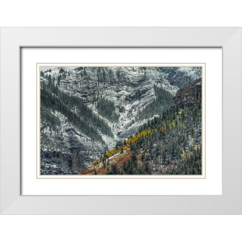 Autumn Slice And Majestic Delineation White Modern Wood Framed Art Print with Double Matting by Sherrell, Bill