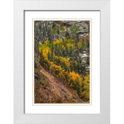Autumn Spiral White Modern Wood Framed Art Print with Double Matting by Sherrell, Bill