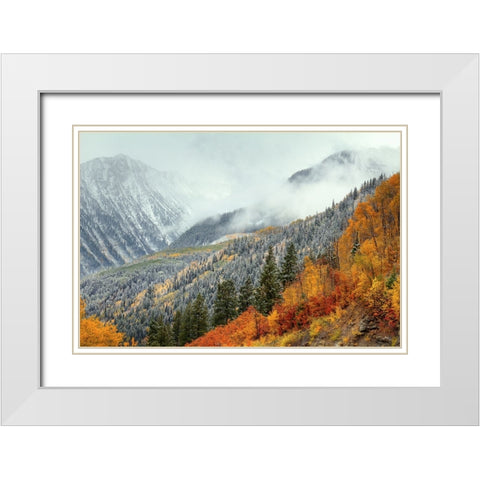 Autumn Storm White Modern Wood Framed Art Print with Double Matting by Sherrell, Bill