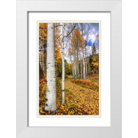 Autumn Stroll White Modern Wood Framed Art Print with Double Matting by Sherrell, Bill