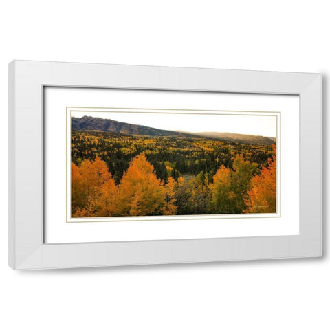 Autumn Sunrise White Modern Wood Framed Art Print with Double Matting by Sherrell, Bill