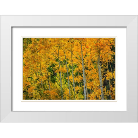 Backlit Embrace White Modern Wood Framed Art Print with Double Matting by Sherrell, Bill