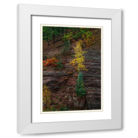 Beautiful Tenacity White Modern Wood Framed Art Print with Double Matting by Sherrell, Bill