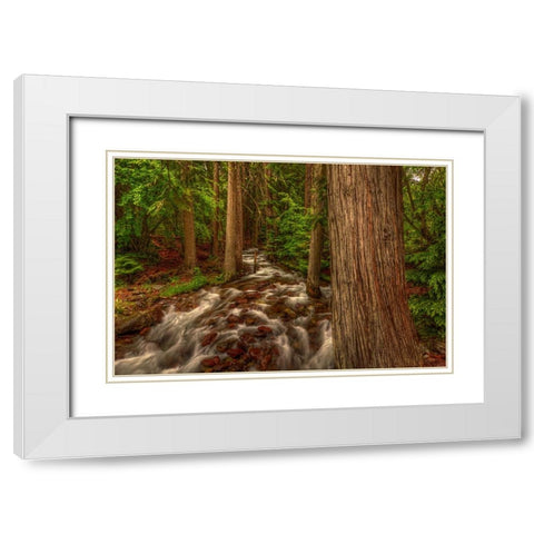 Brook White Modern Wood Framed Art Print with Double Matting by Sherrell, Bill